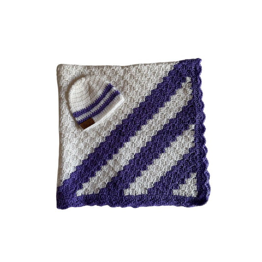 Regal Chevron Crochet Baby Blanket