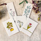 Watercolor Floral Collection - Small