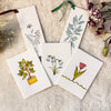 Watercolor Floral Collection - Small