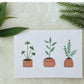 Painting of three brown plant pots on a card placed on a white background with fresh leaves 