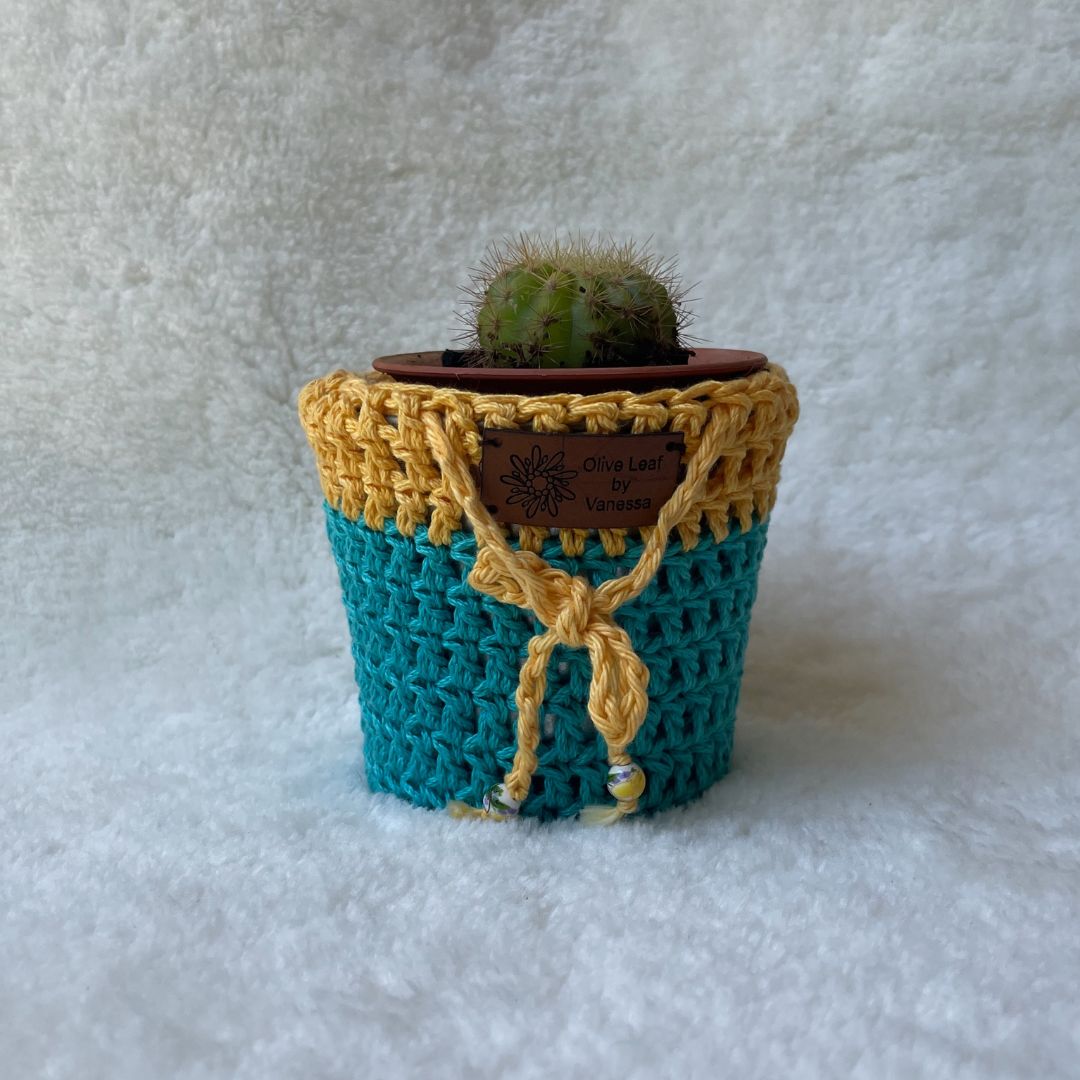 Creochet pot cozy in yellow and blue hlding a succulent plant placed on a white fur cloth