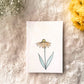 Watercolor Floral Collection - Small